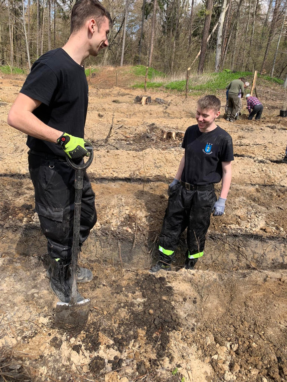 Zasadzili 1200 drzewek w Piekielcu