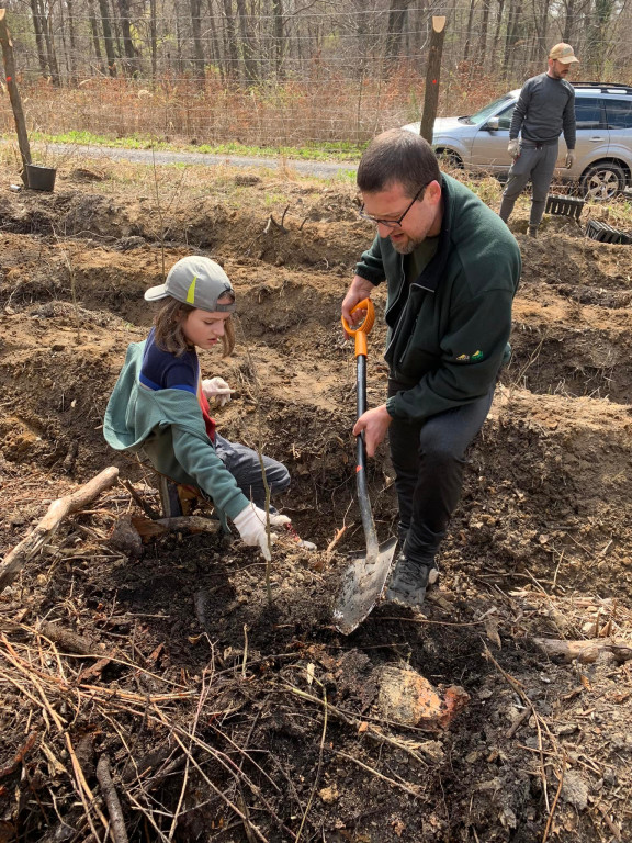 Zasadzili 1200 drzewek w Piekielcu