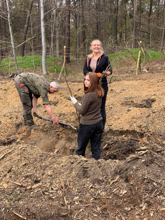 Zasadzili 1200 drzewek w Piekielcu