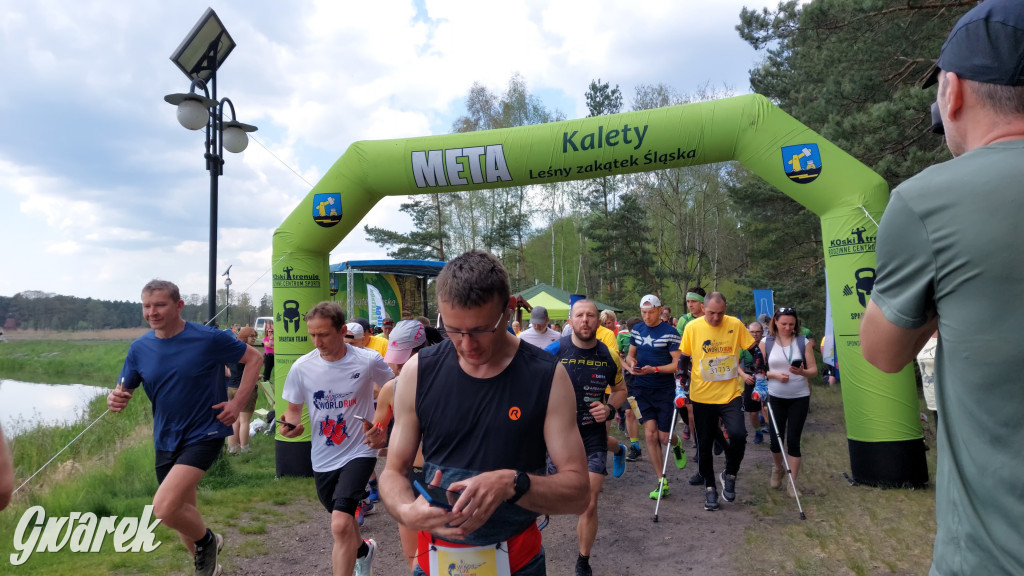 Wings for Life w Kaletach