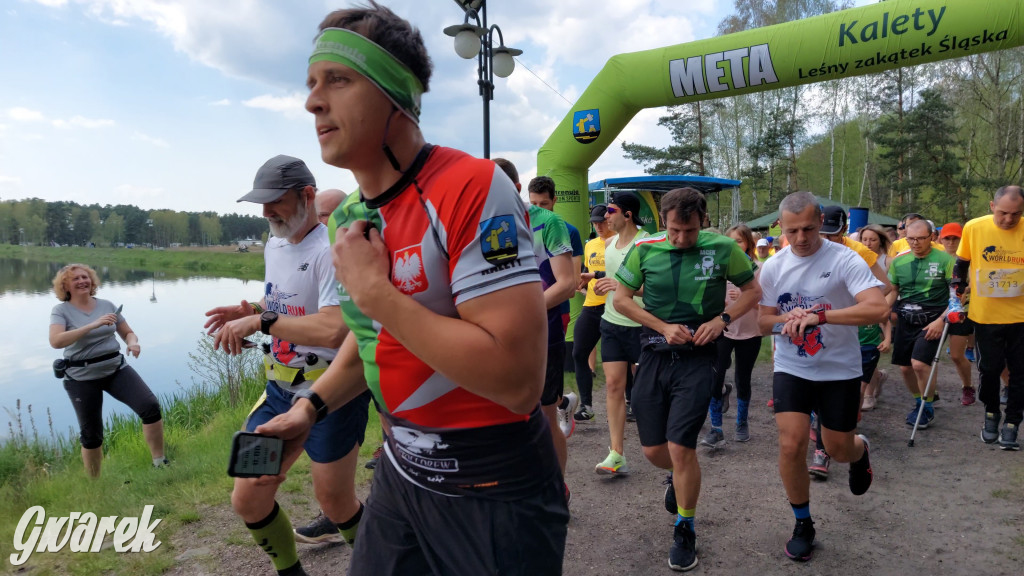 Wings for Life w Kaletach