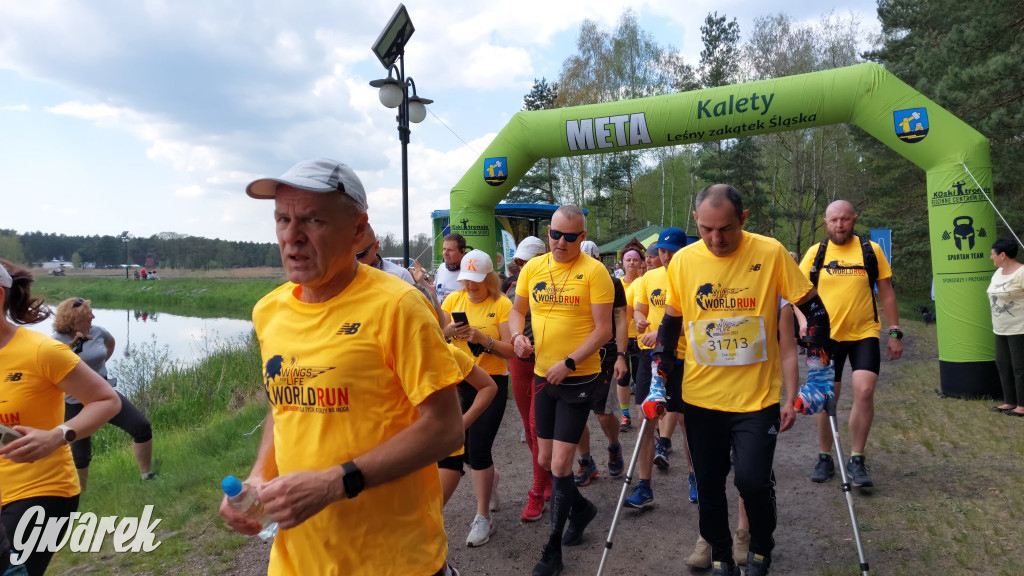 Wings for Life w Kaletach