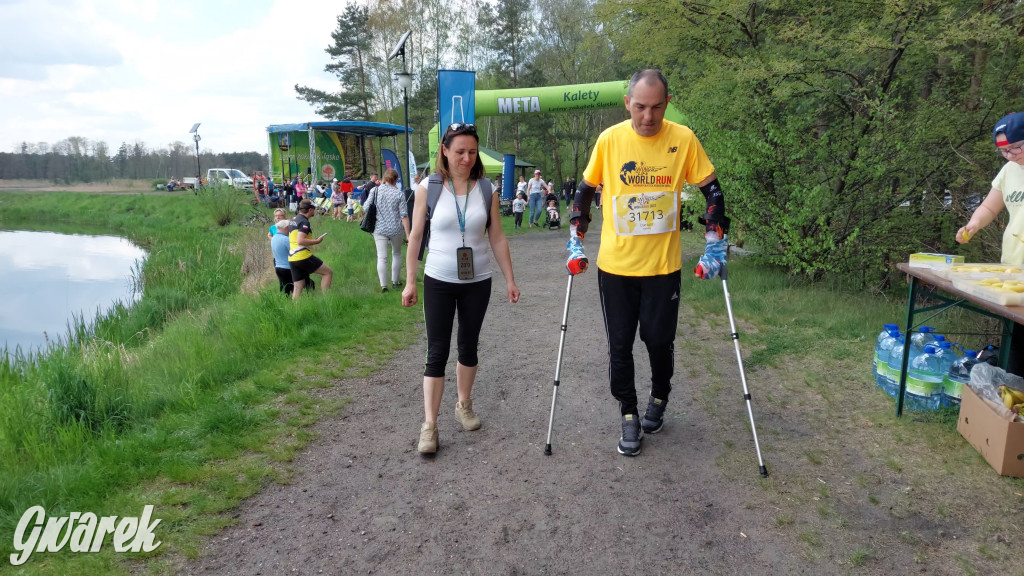 Wings for Life w Kaletach