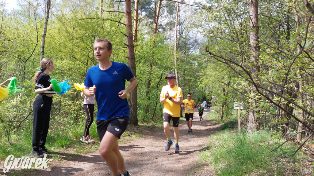 Wings for Life w Kaletach