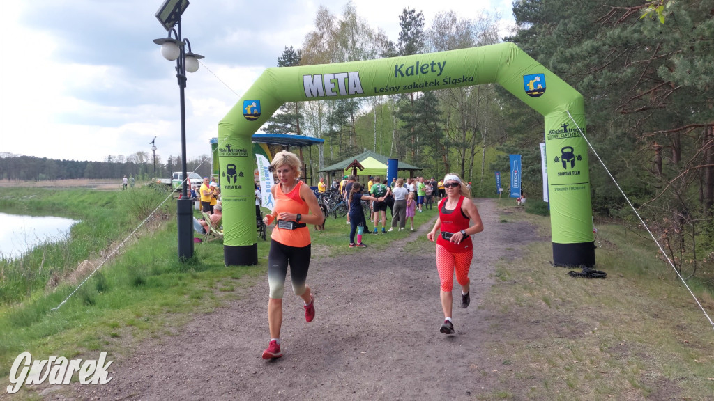 Wings for Life w Kaletach