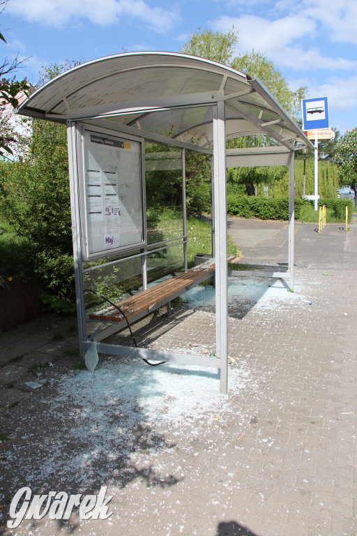 Tarnowskie Góry. Zdemolowane wiaty autobusowe