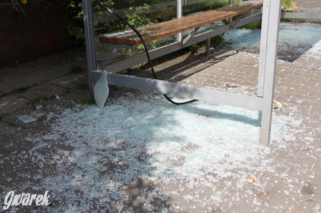 Tarnowskie Góry. Zdemolowane wiaty autobusowe