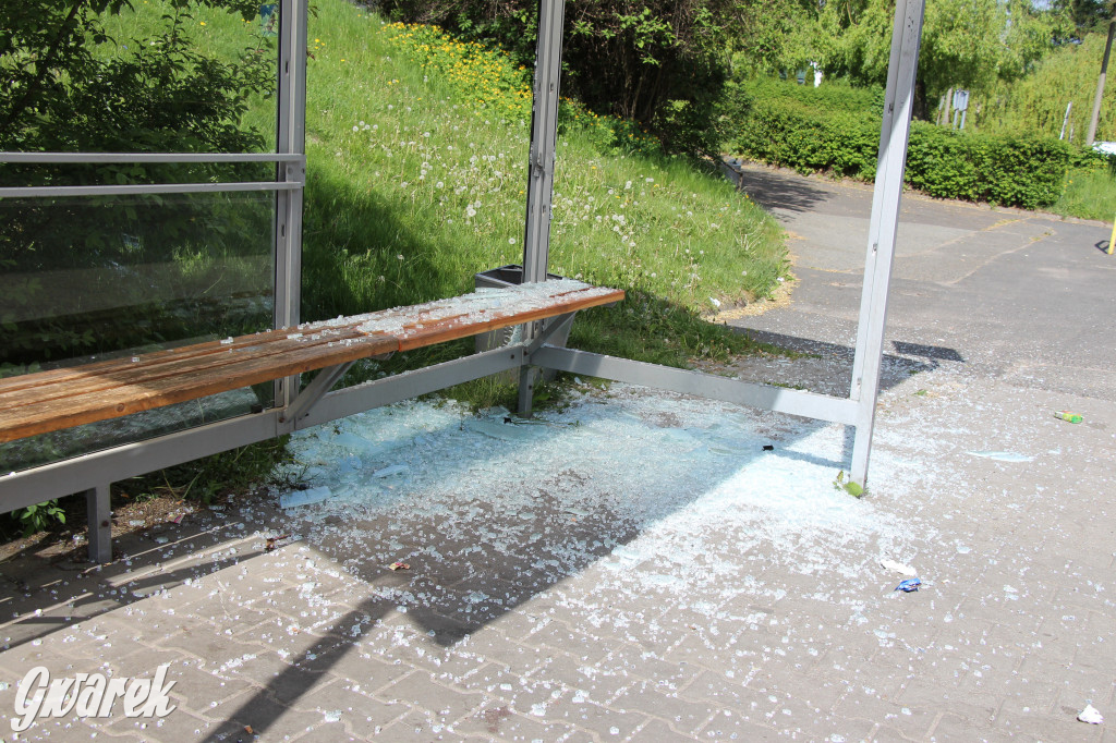 Tarnowskie Góry. Zdemolowane wiaty autobusowe