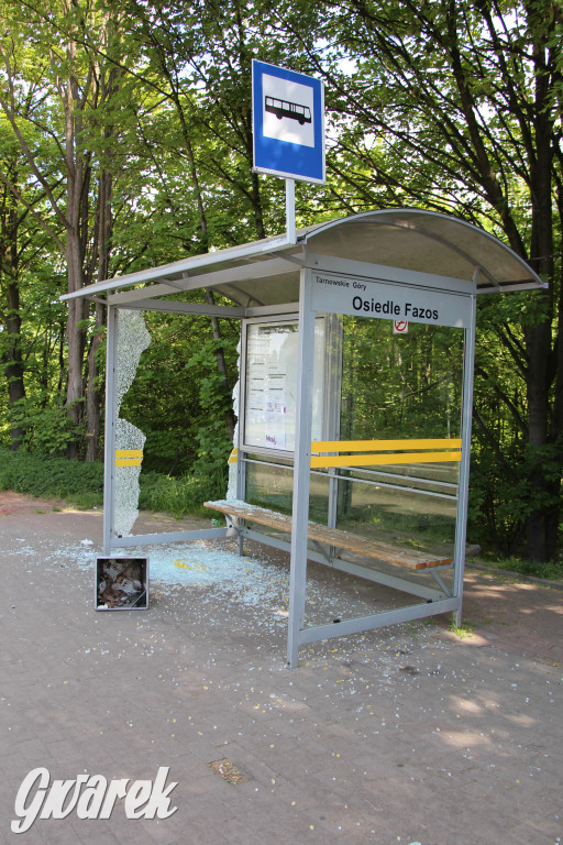 Tarnowskie Góry. Zdemolowane wiaty autobusowe
