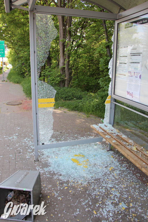 Tarnowskie Góry. Zdemolowane wiaty autobusowe