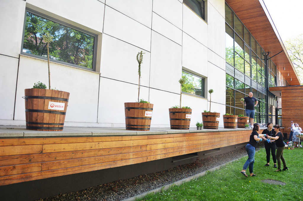 Sadzenie roślin przed TCK