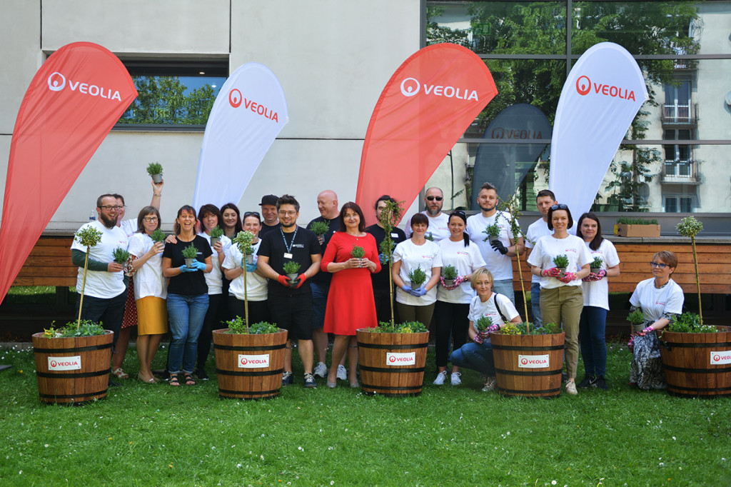 Sadzenie roślin przed TCK