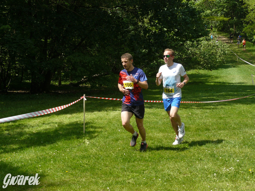 Jubileuszowy Tarnogórski Bieg Przełajowy