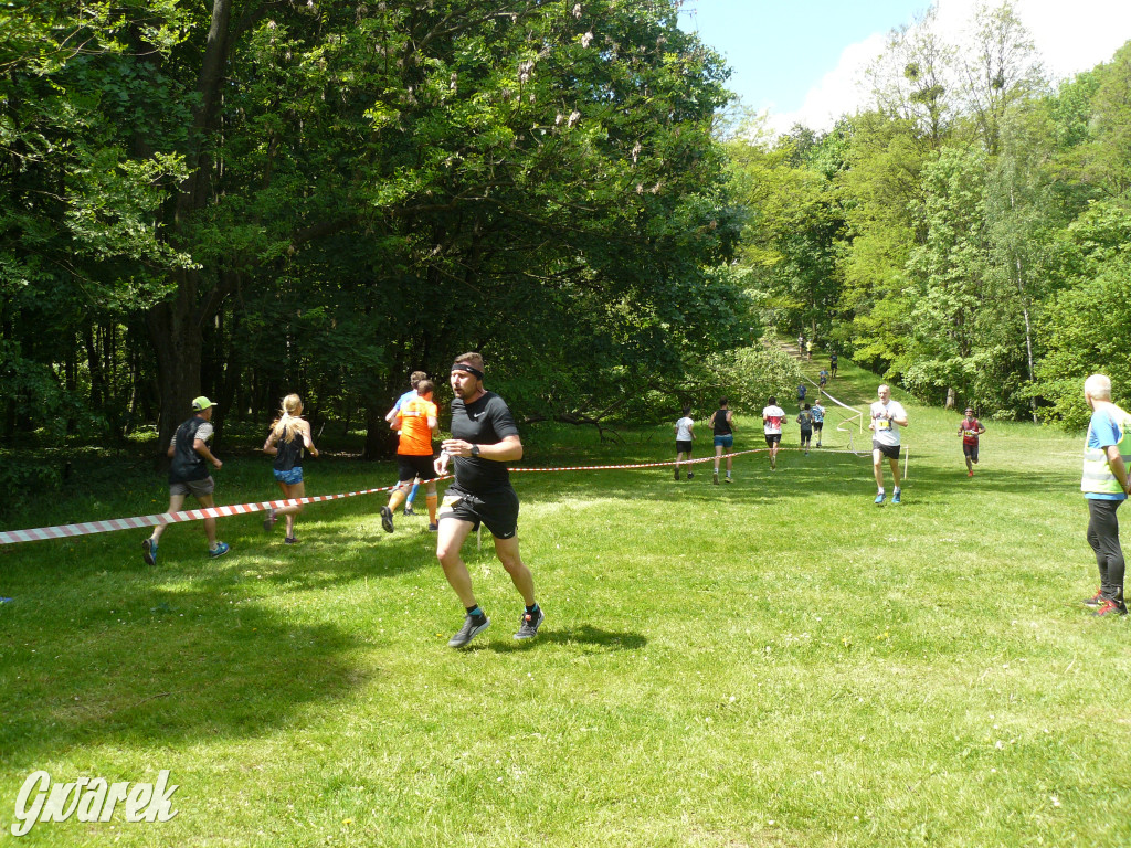 Jubileuszowy Tarnogórski Bieg Przełajowy