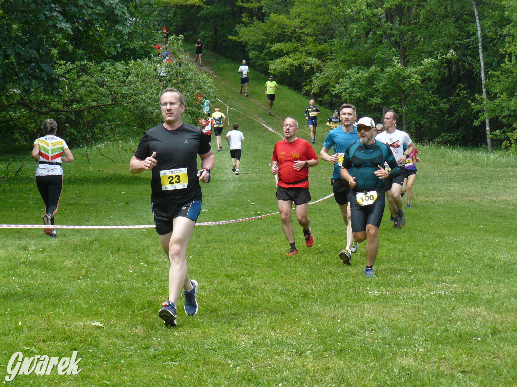 Jubileuszowy Tarnogórski Bieg Przełajowy