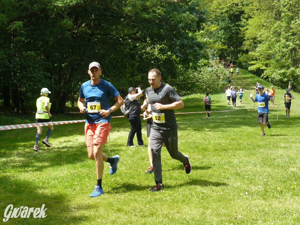 Jubileuszowy Tarnogórski Bieg Przełajowy