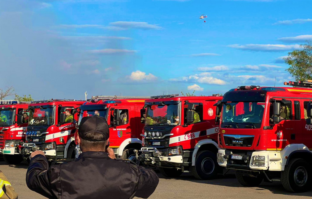 Pożar lasu w Miasteczku Śląskim