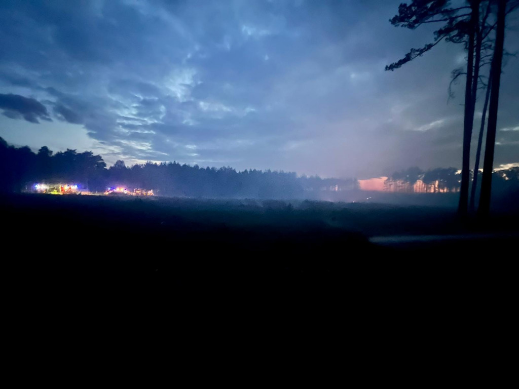 Pożar lasu w Miasteczku Śląskim