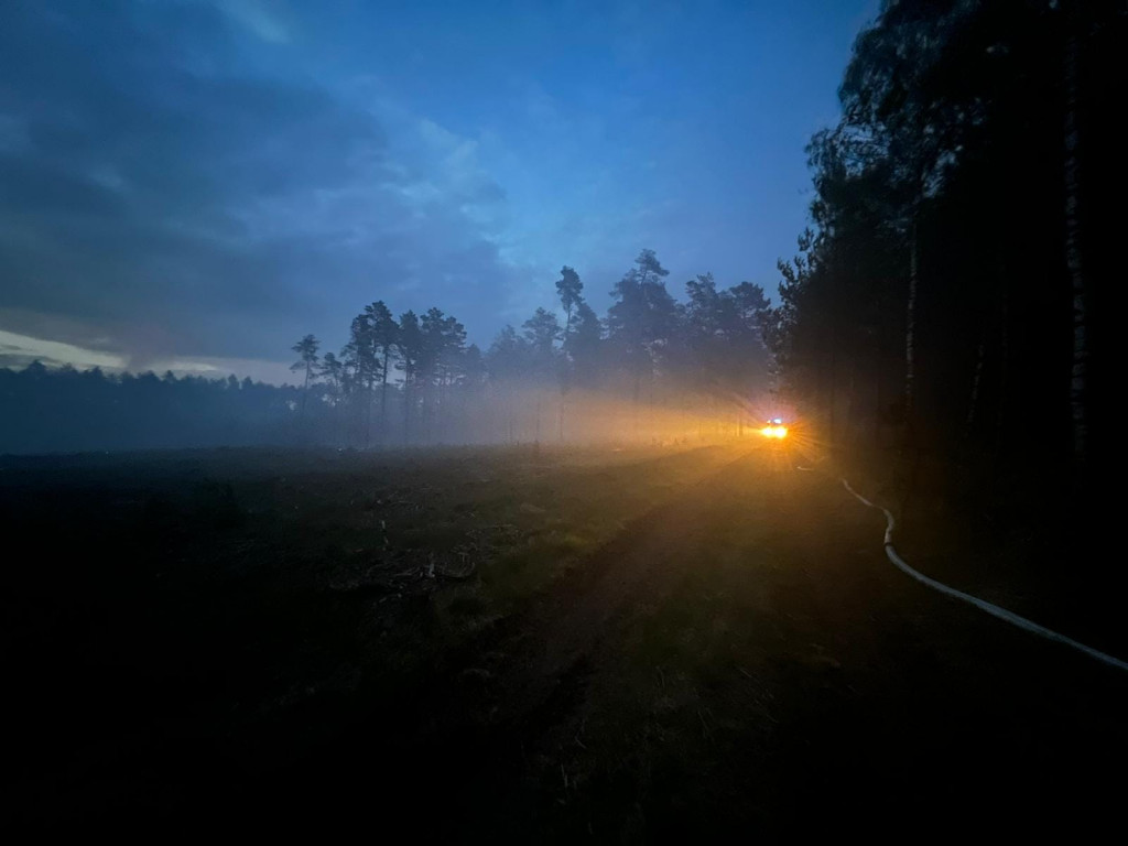 Pożar lasu w Miasteczku Śląskim