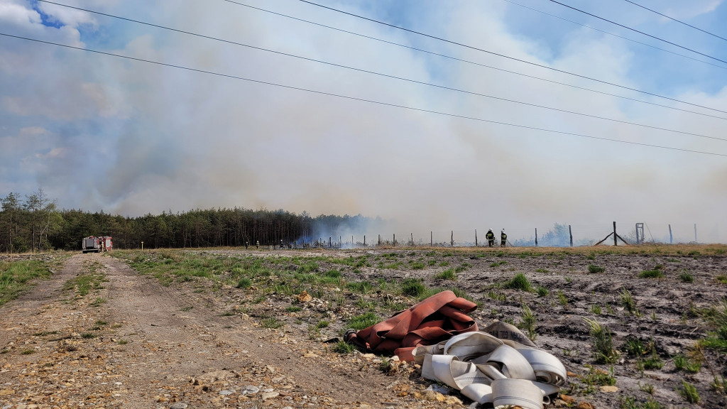 Pożar lasu w Miasteczku Śląskim