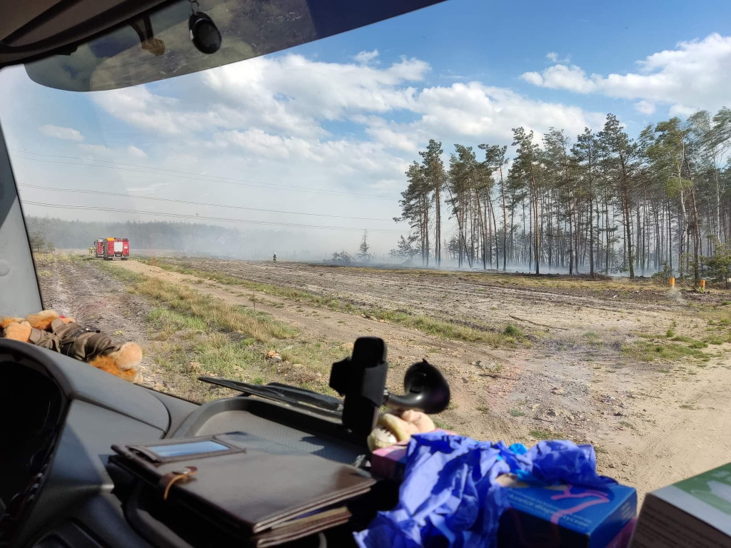 Pożar lasu w Miasteczku Śląskim