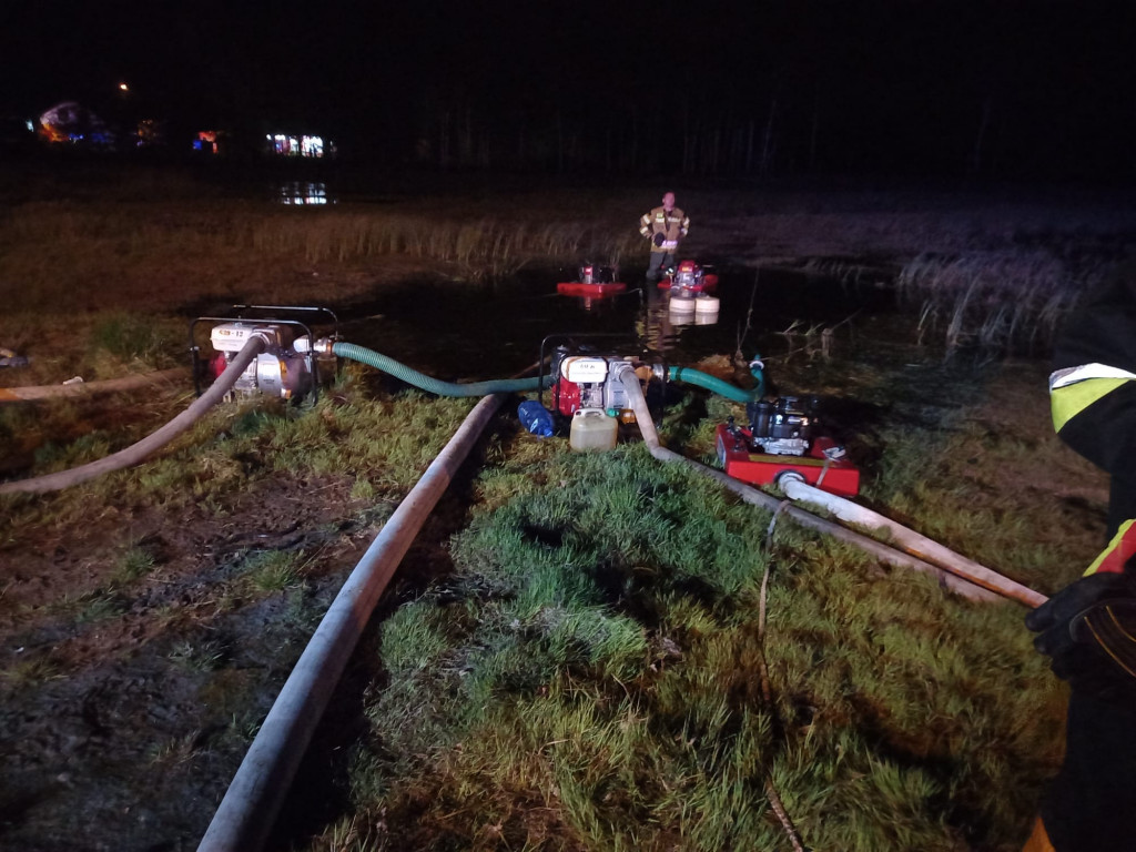 Pożar lasu w Miasteczku Śląskim