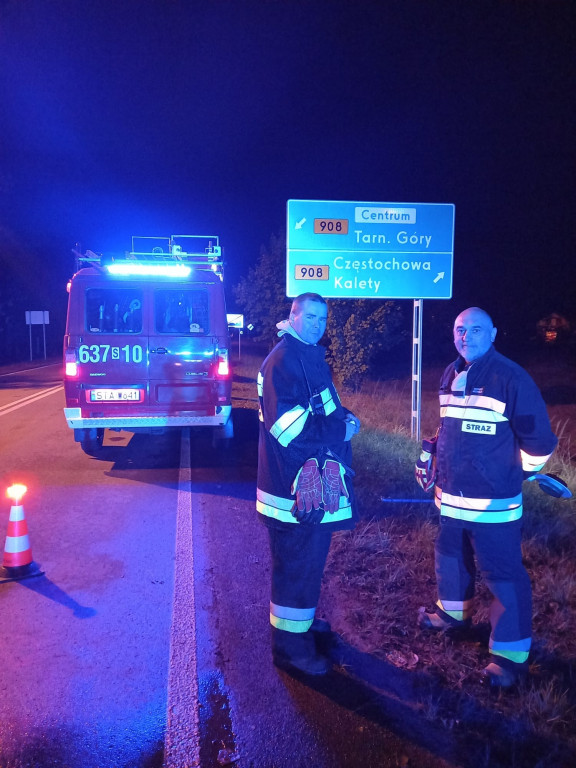 Pożar lasu w Miasteczku Śląskim