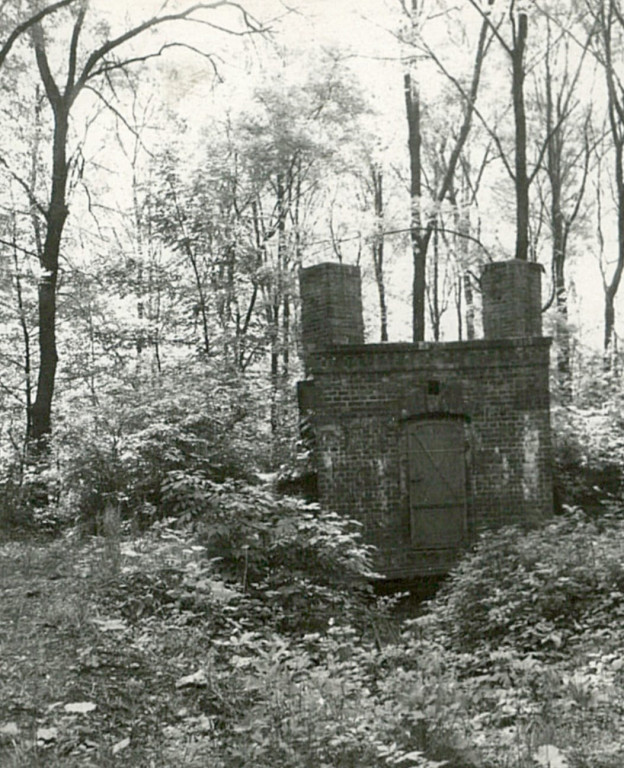 Włości Donnersmarcków w parku w Świerklańcu