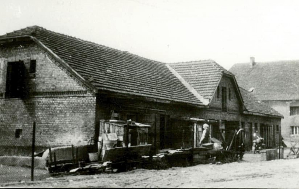 Włości Donnersmarcków w parku w Świerklańcu