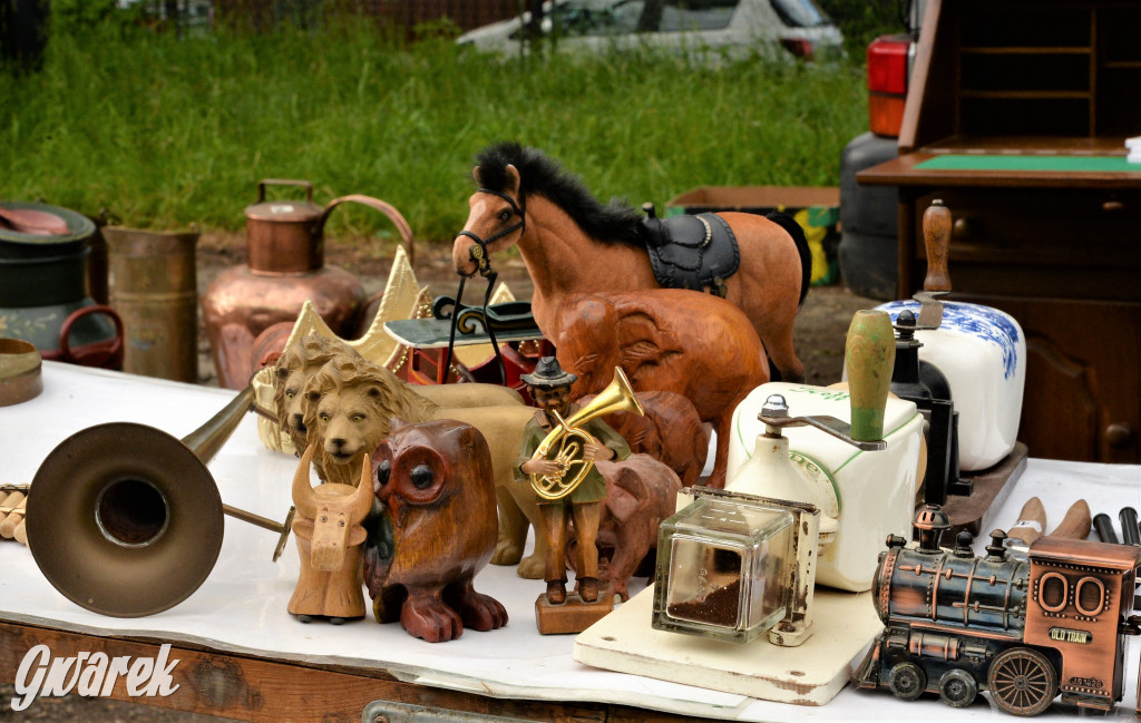 Pchli targ w Tarnowskich Górach