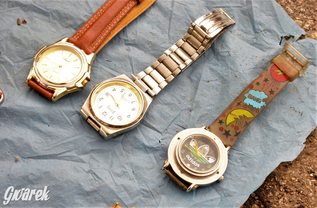 Pchli targ w Tarnowskich Górach