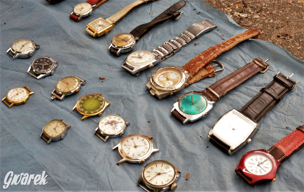 Pchli targ w Tarnowskich Górach