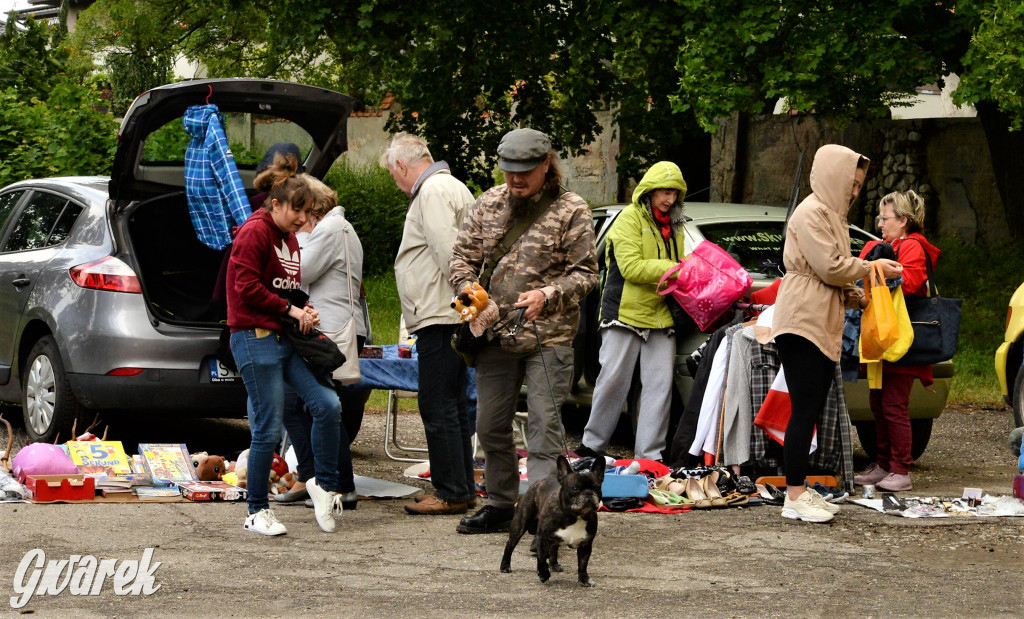 Pchli targ w Tarnowskich Górach