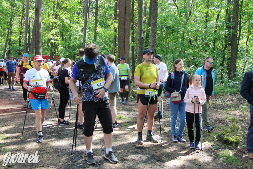 Mistrzostwa Polski w półmaratonie nordic walking