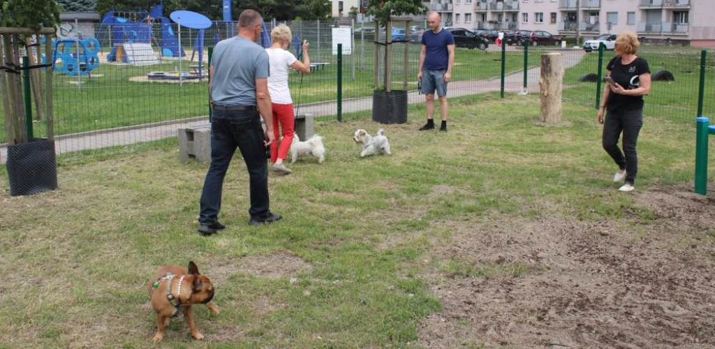 Powstał kolejny wybieg dla psów