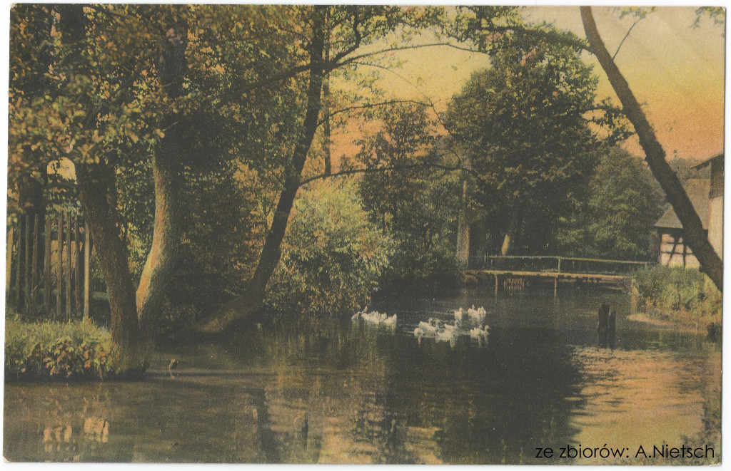 Dolina Dramy na archiwalnych kartach pocztowych