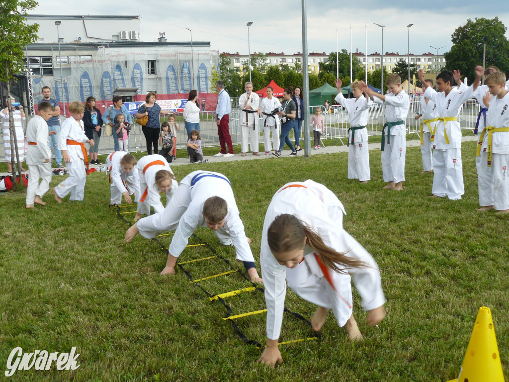 Dni Radzionkowa. Piątek ze strażakami