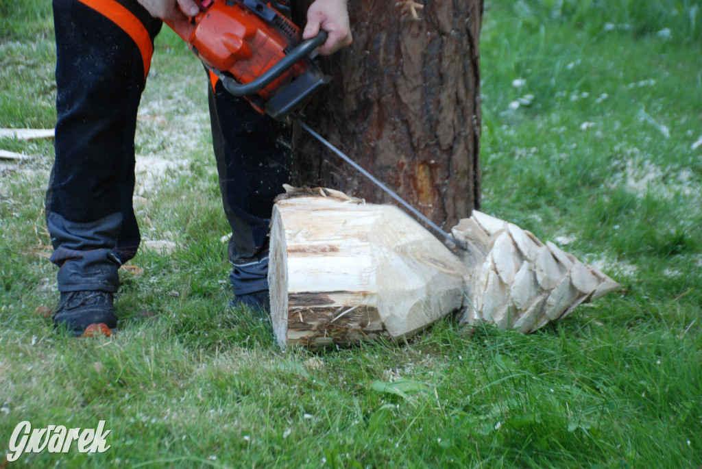 Trwa piknik łowiecki Cietrzewisko