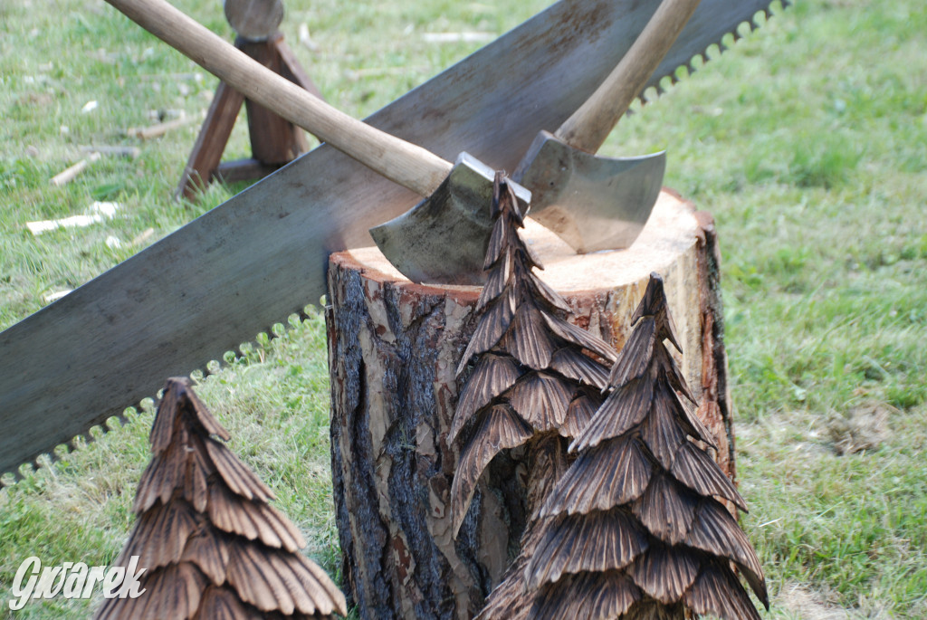 Trwa piknik łowiecki Cietrzewisko