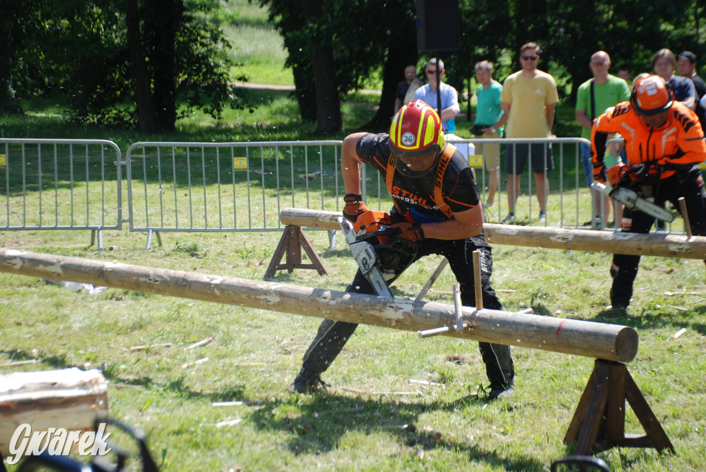 Trwa piknik łowiecki Cietrzewisko