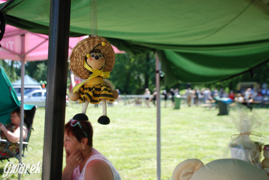 Trwa piknik łowiecki Cietrzewisko