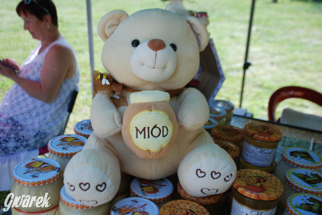 Trwa piknik łowiecki Cietrzewisko