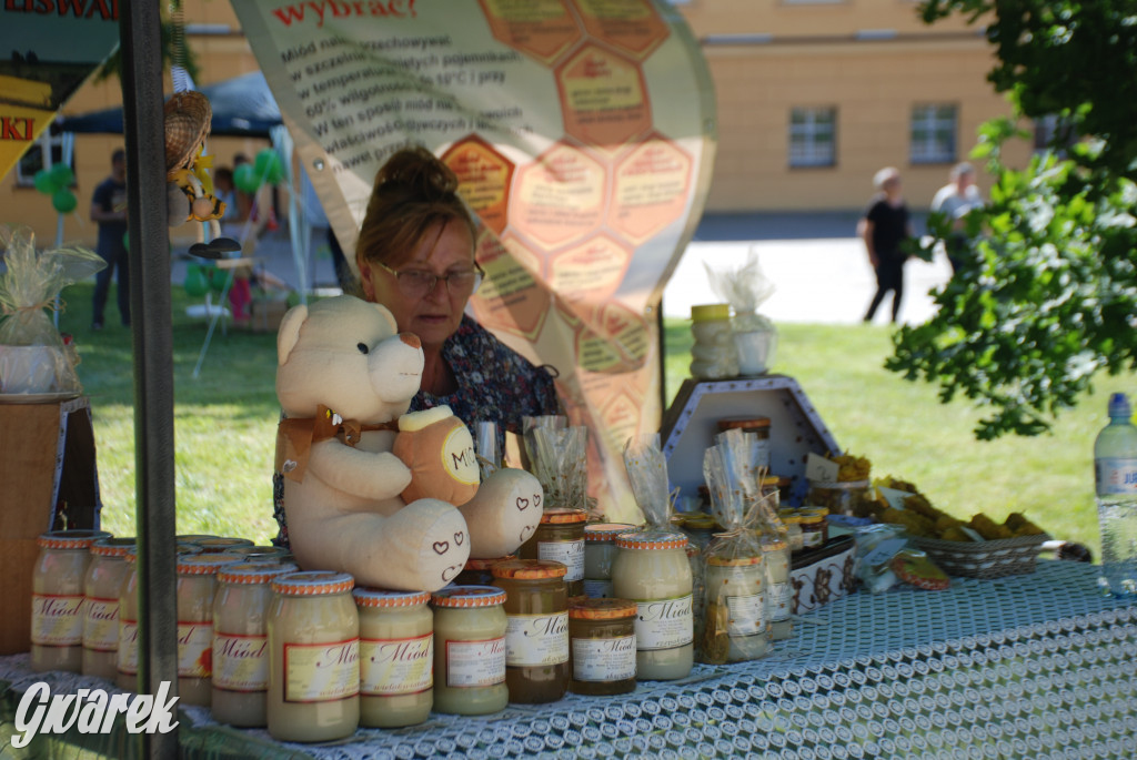 Trwa piknik łowiecki Cietrzewisko