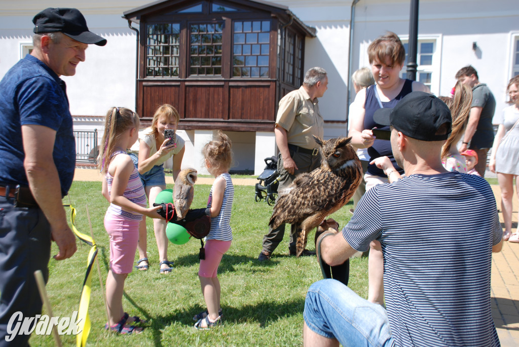 Trwa piknik łowiecki Cietrzewisko