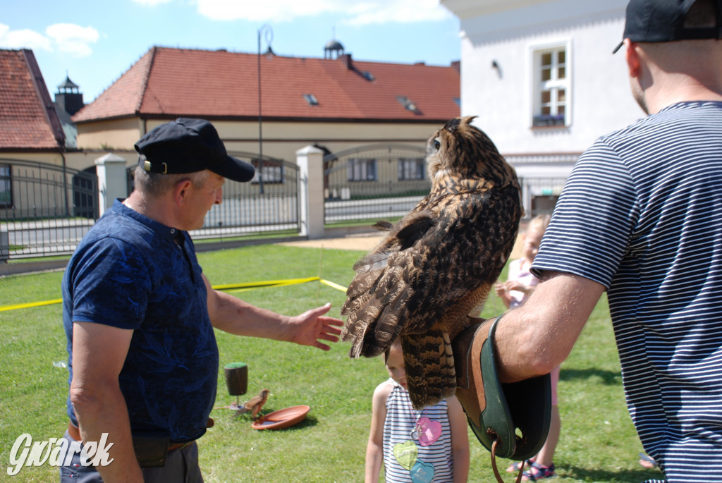 Trwa piknik łowiecki Cietrzewisko