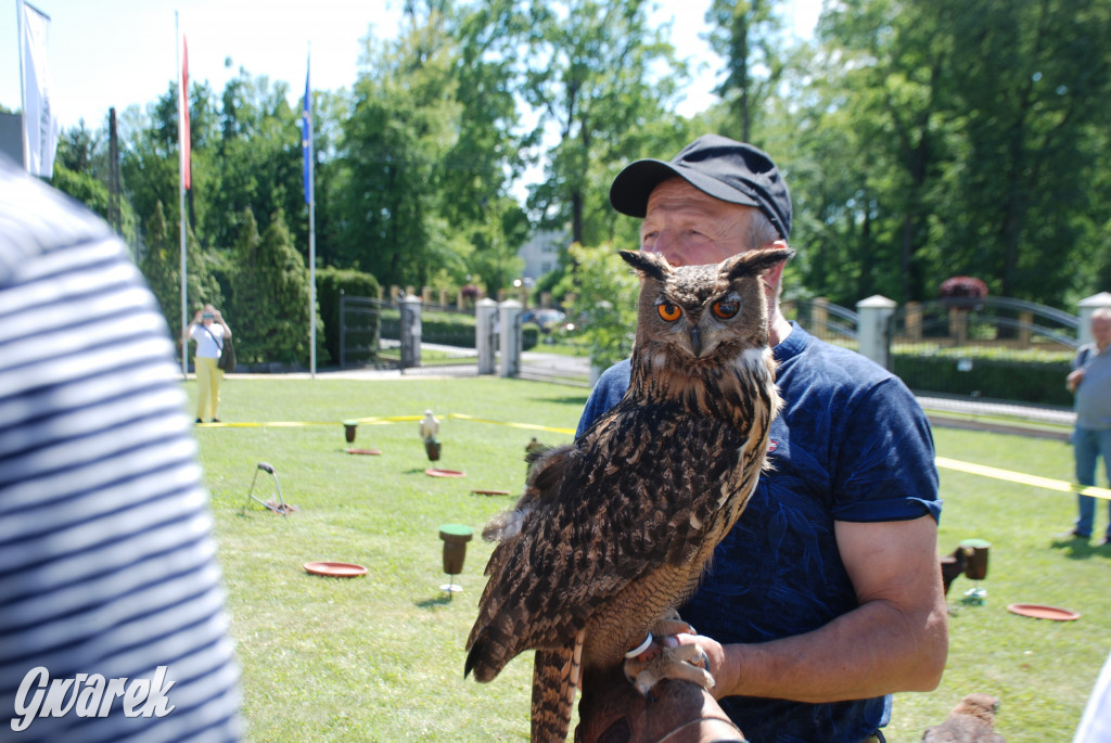 Trwa piknik łowiecki Cietrzewisko