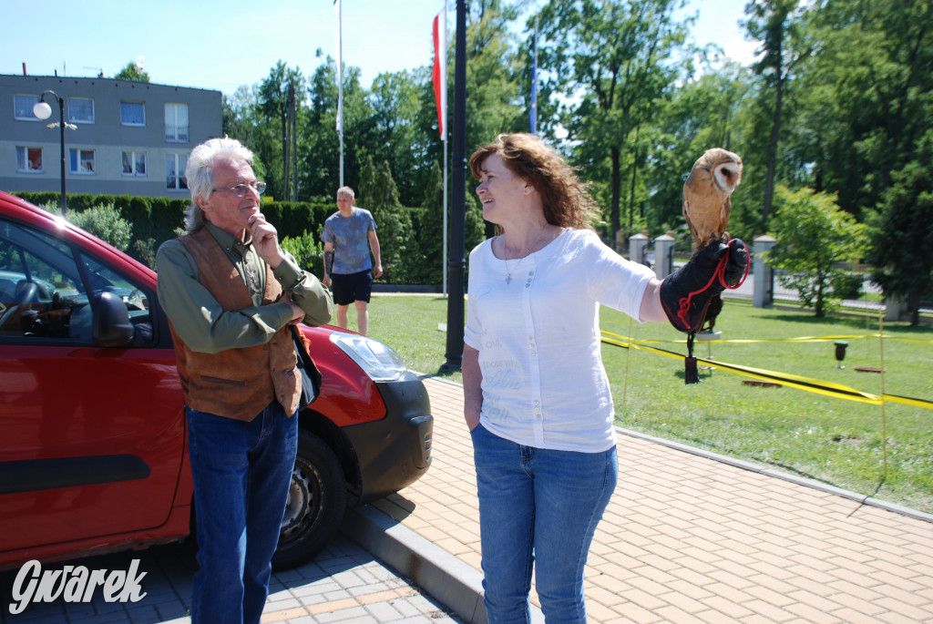 Trwa piknik łowiecki Cietrzewisko