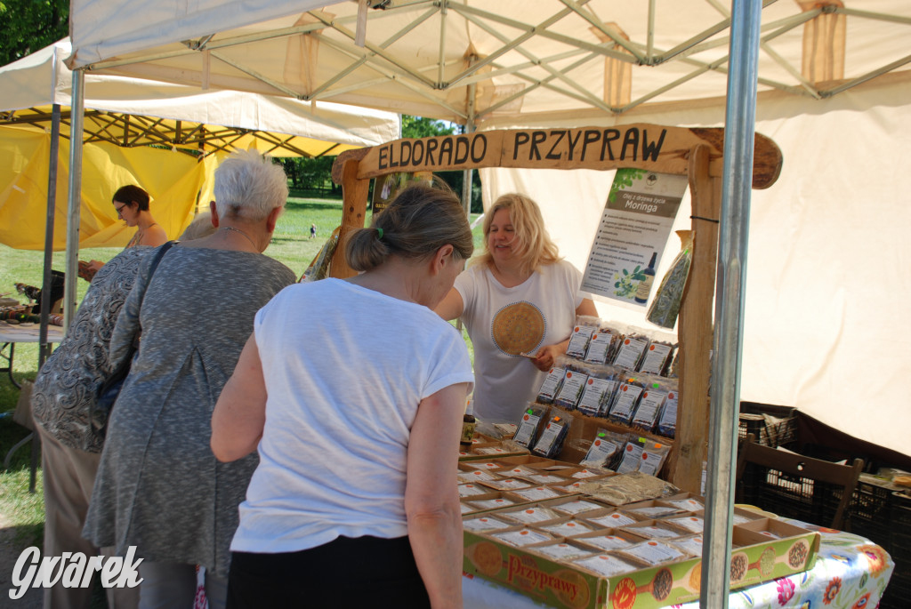 Trwa piknik łowiecki Cietrzewisko