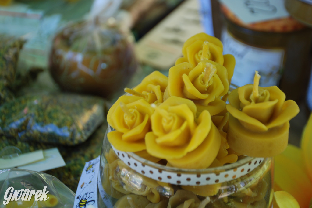 Trwa piknik łowiecki Cietrzewisko