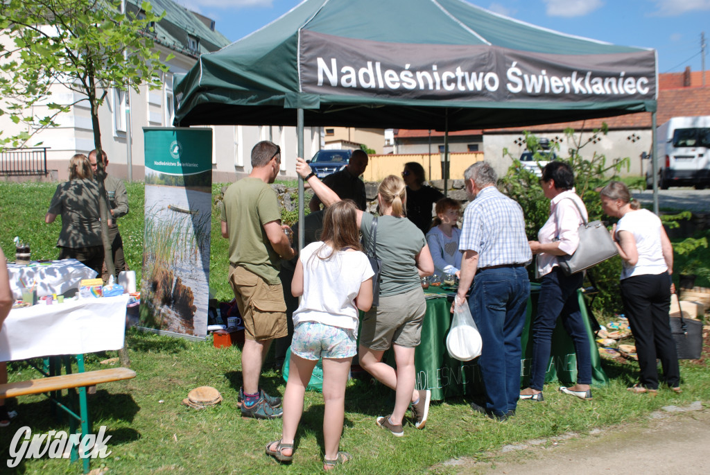 Trwa piknik łowiecki Cietrzewisko